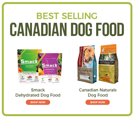 Best Dog Food Brands 2025: Top Picks for Healthy, Happy Pets