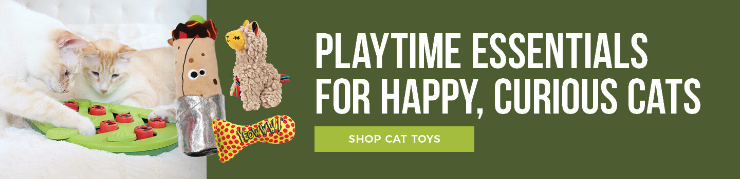 cat-toys-desktop