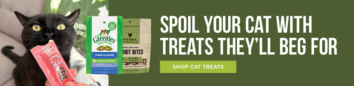 cat-treats-desktop
