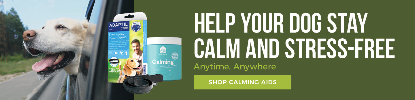 dog-calming-aids-desktop