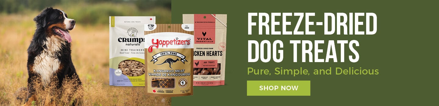 freeze-dried-dog-treats-desktop