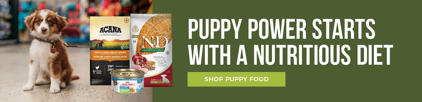 puppy-food-desktop