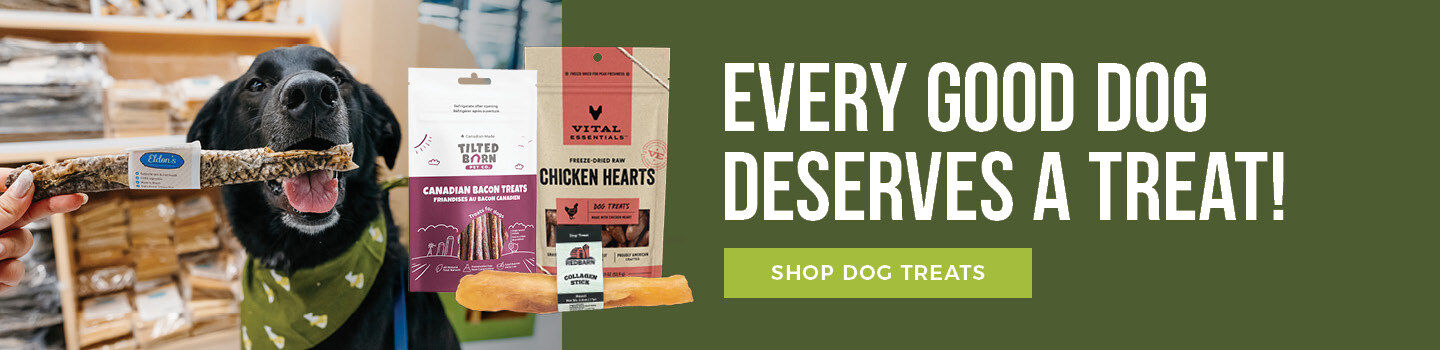 dog-treats-cta-desktop