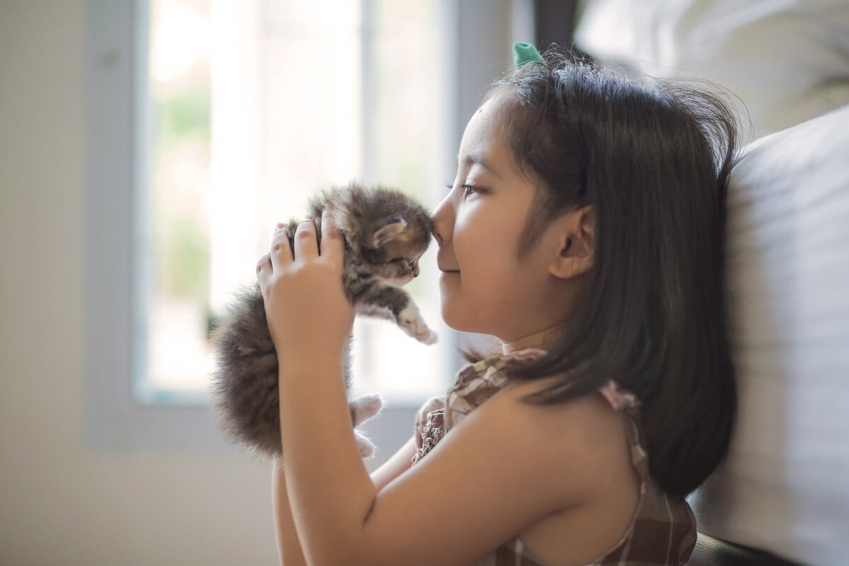 new-kitten-checklist