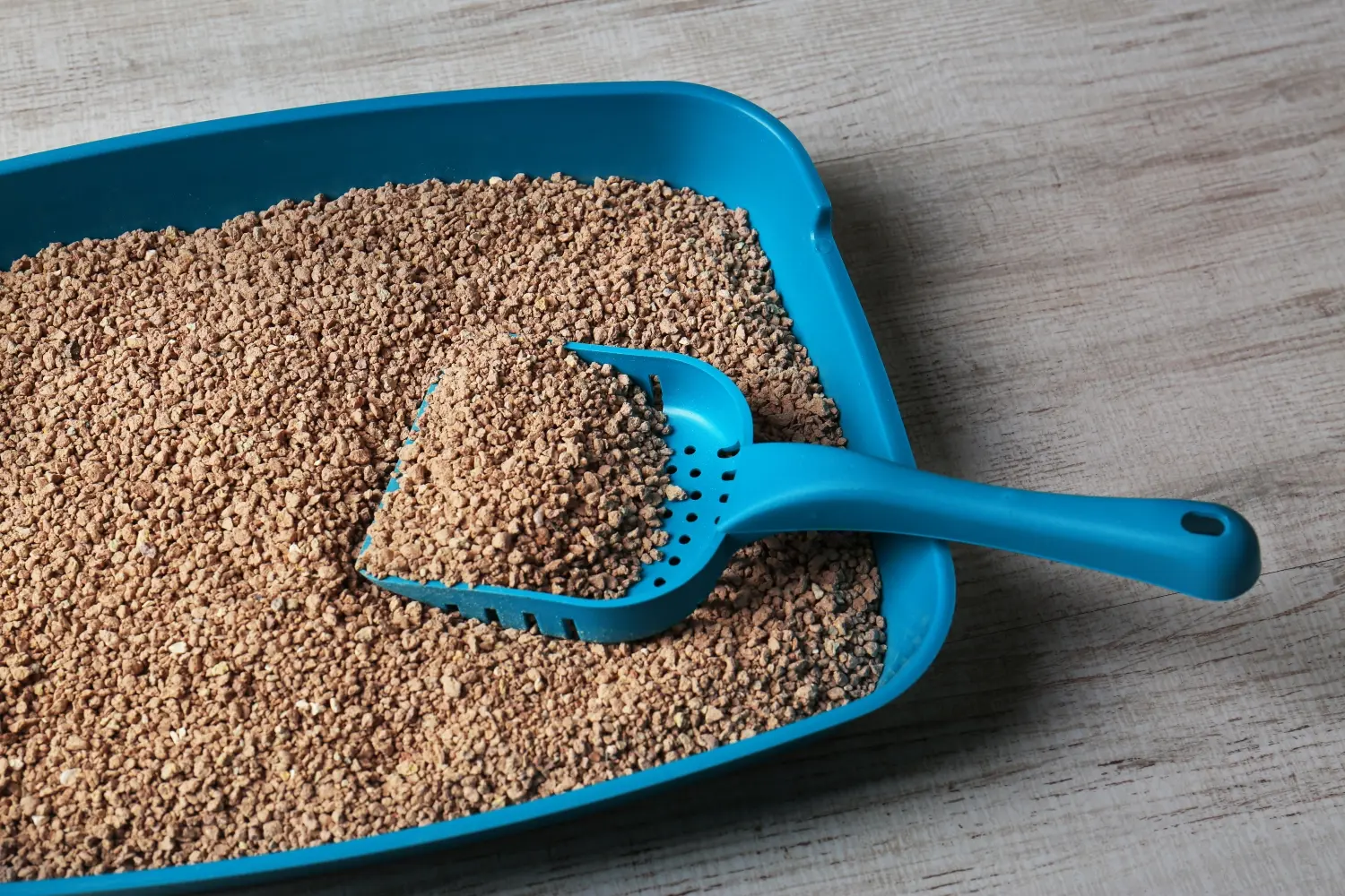best-cat-litter-comparison