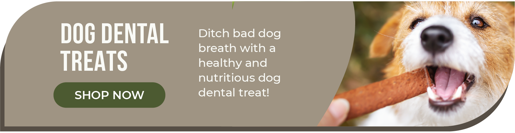 dog-dental-treats