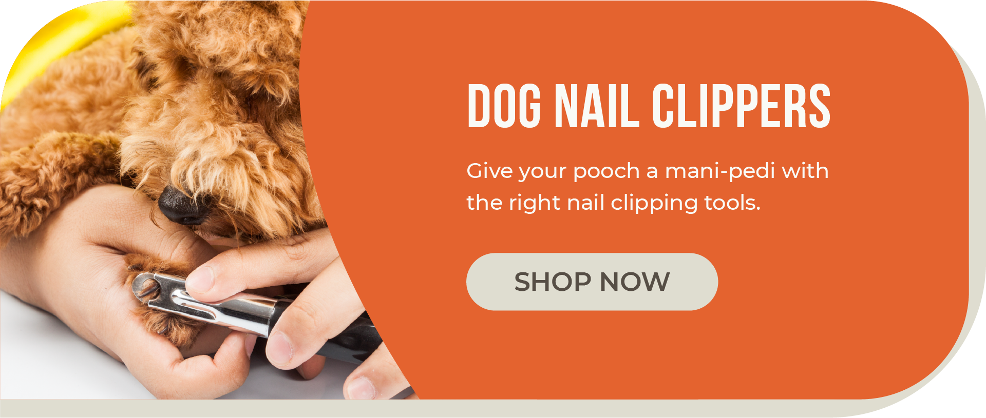 Nail clipper - Wikipedia