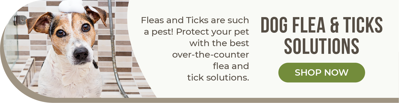 CTAs_Dog Flea & Ticks Solutions