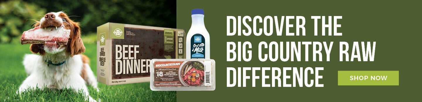 BigCountryRaw-Desktop-CTA