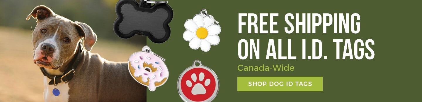 Dog-ID-Tags-Desktop-CTA