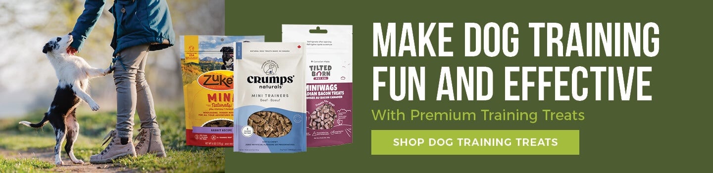 dog-training-treats-desktop-CTA