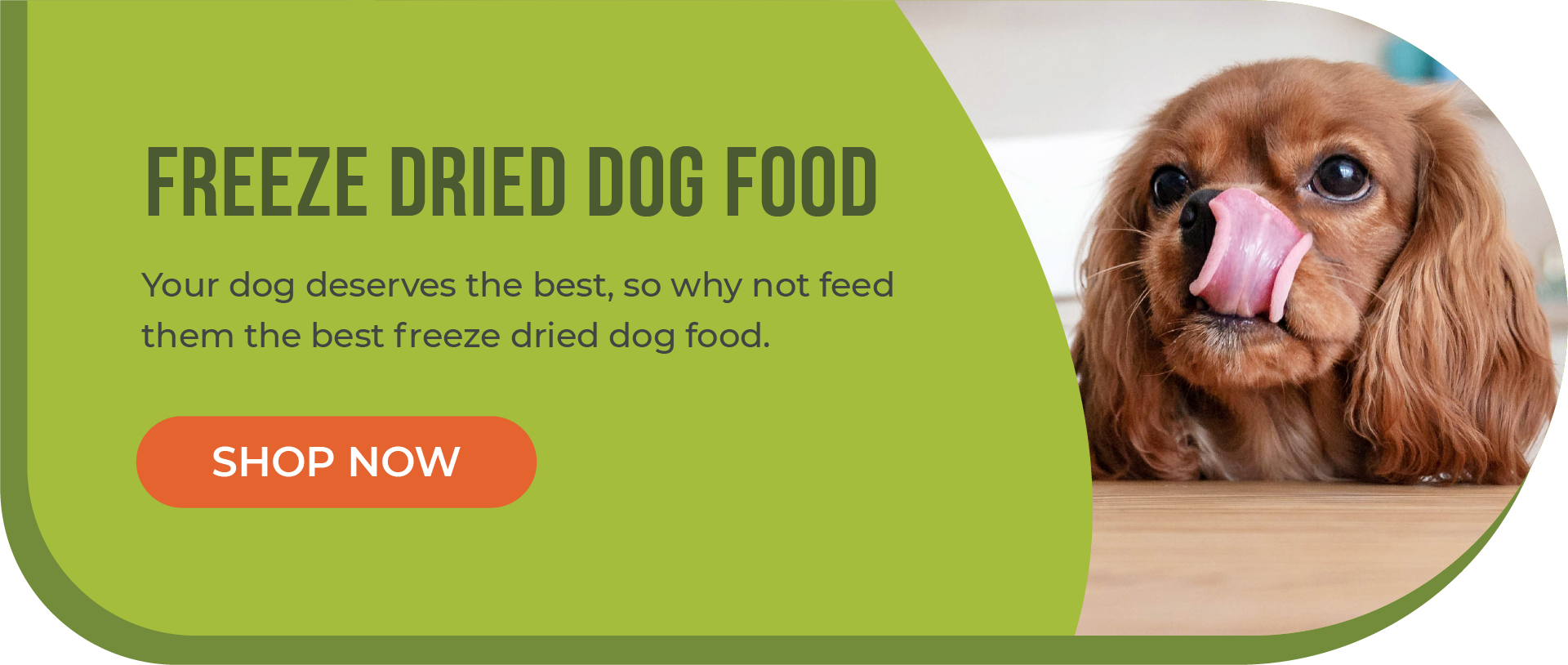 Raw Dog Food for Beginners: A Primer on Raw Food For Dogs · The Wildest