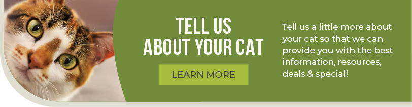 Tell Us About Your Cat