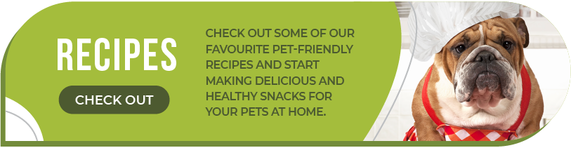 Dog recipes LP Desktop