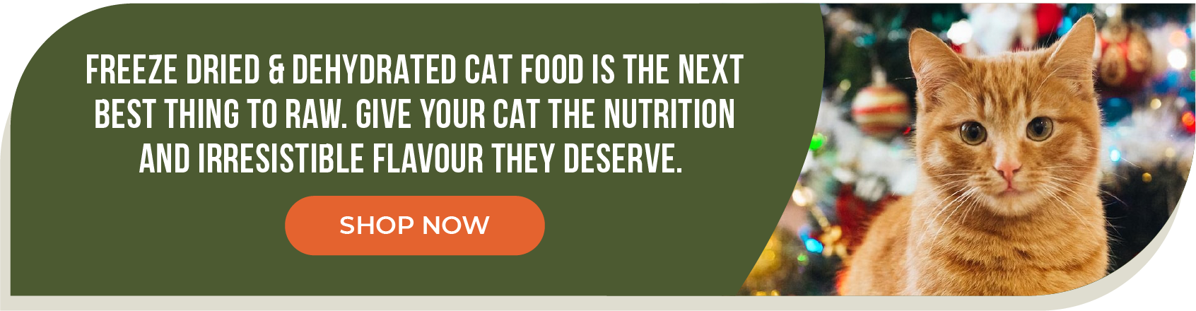 Cat Graphic CTAs_Freeze-Dried & Dehydrated Cat Food - Desktop