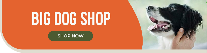 Gift guides Graphic CTAs_Big Dog Shop - Desktop