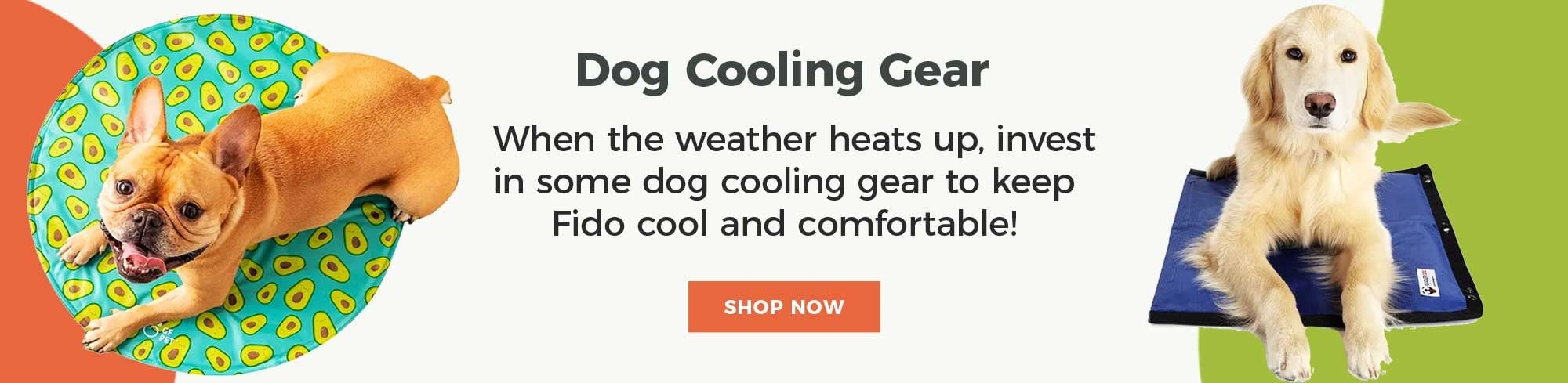 Dog-Cooling-Gear