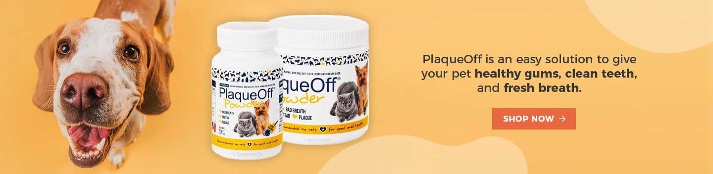 PlaqueOff Fresh Breath