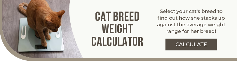 Cat Breed Weight Calculator