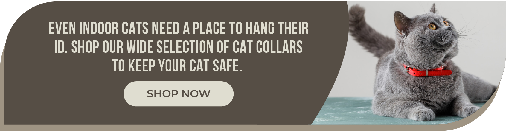 Cat Collars - Desktop