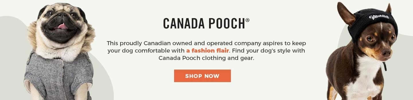 New call-to-action