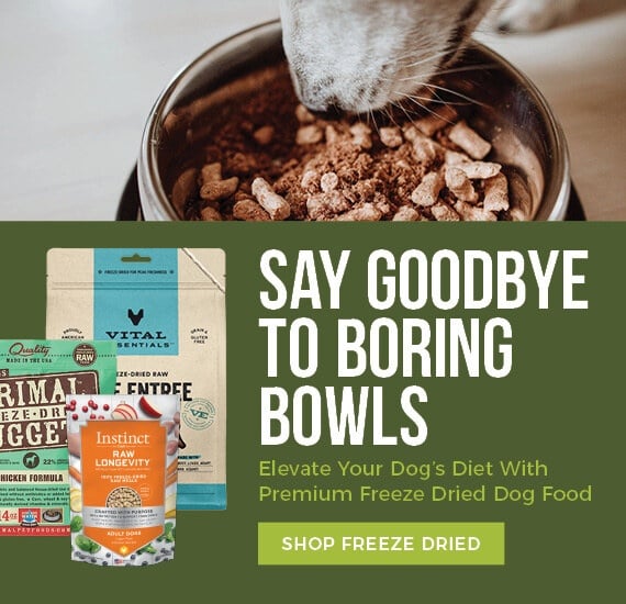 Benefits of grain free dog food best sale